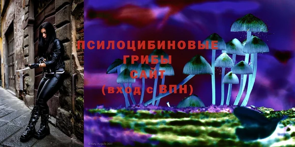 бутират Арсеньев