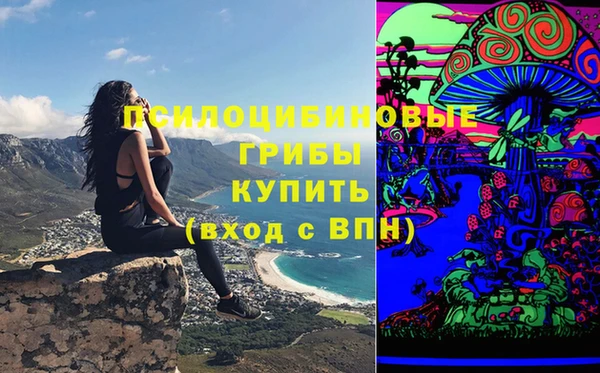 а пвп мука Армянск