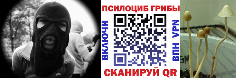 Псилоцибиновые грибы GOLDEN TEACHER Нягань